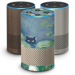 Foils for Smart Home matt