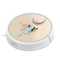 Foils for Smart Home matt