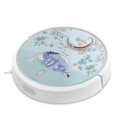 Foils for Smart Home matt