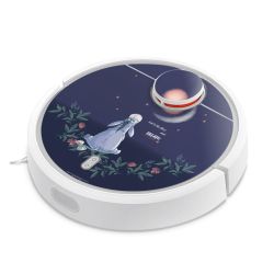 Foils for Smart Home matt