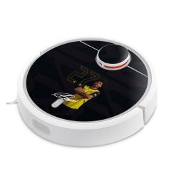 Foils for Smart Home matt