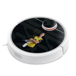 Foils for Smart Home matt