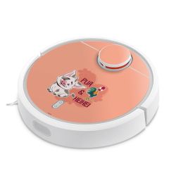 Foils for Smart Home matt