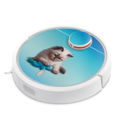 Foils for Smart Home matt