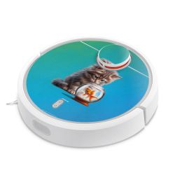 Foils for Smart Home matt