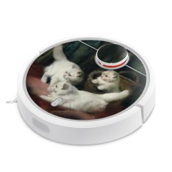 Foils for Smart Home matt