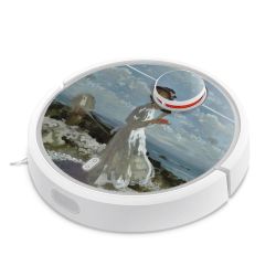 Foils for Smart Home matt