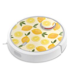 Foils for Smart Home matt