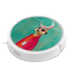 Foils for Smart Home matt