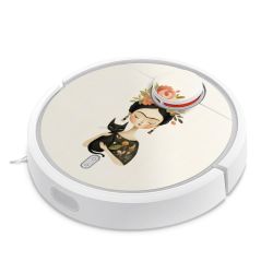 Foils for Smart Home matt