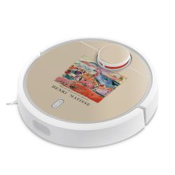 Foils for Smart Home matt