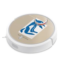 Foils for Smart Home matt