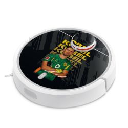 Foils for Smart Home matt