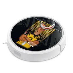 Foils for Smart Home matt