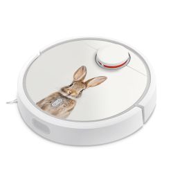 Foils for Smart Home matt