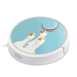 Foils for Smart Home matt