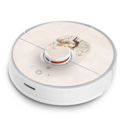 Foils for Smart Home matt