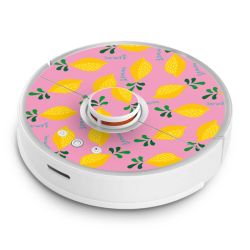 Foils for Smart Home matt