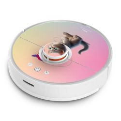 Foils for Smart Home matt