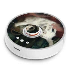 Foils for Smart Home matt