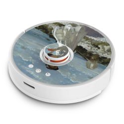 Foils for Smart Home matt