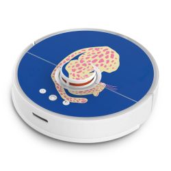 Foils for Smart Home matt