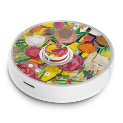 Foils for Smart Home matt