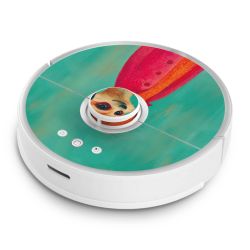 Foils for Smart Home matt