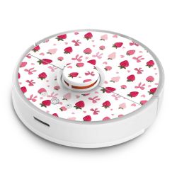 Foils for Smart Home matt