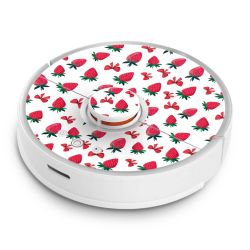 Foils for Smart Home matt