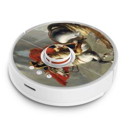 Foils for Smart Home matt