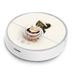 Foils for Smart Home matt