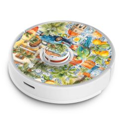 Foils for Smart Home matt