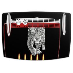 Folier Smart Home matt