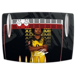 Foils for Smart Home matt