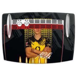 Foils for Smart Home matt