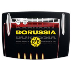 Foils for Smart Home matt