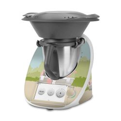 Foils for Other Devices matt