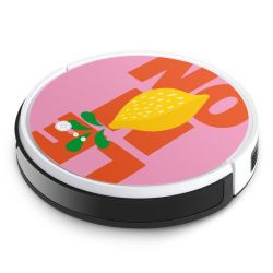 Foils for Smart Home matt