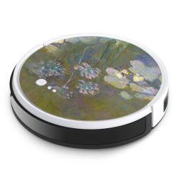 Foils for Smart Home matt