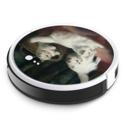 Foils for Smart Home matt