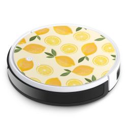 Foils for Smart Home matt