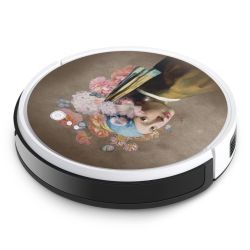 Foils for Smart Home matt