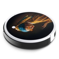 Foils for Smart Home matt