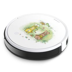 Foils for Smart Home matt