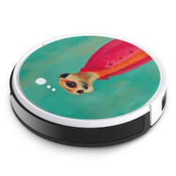 Foils for Smart Home matt