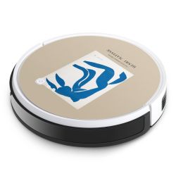 Foils for Smart Home matt