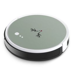 Foils for Smart Home matt