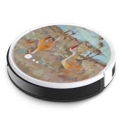 Foils for Smart Home matt