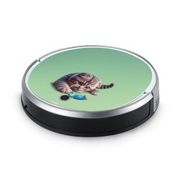 Foils for Smart Home matt